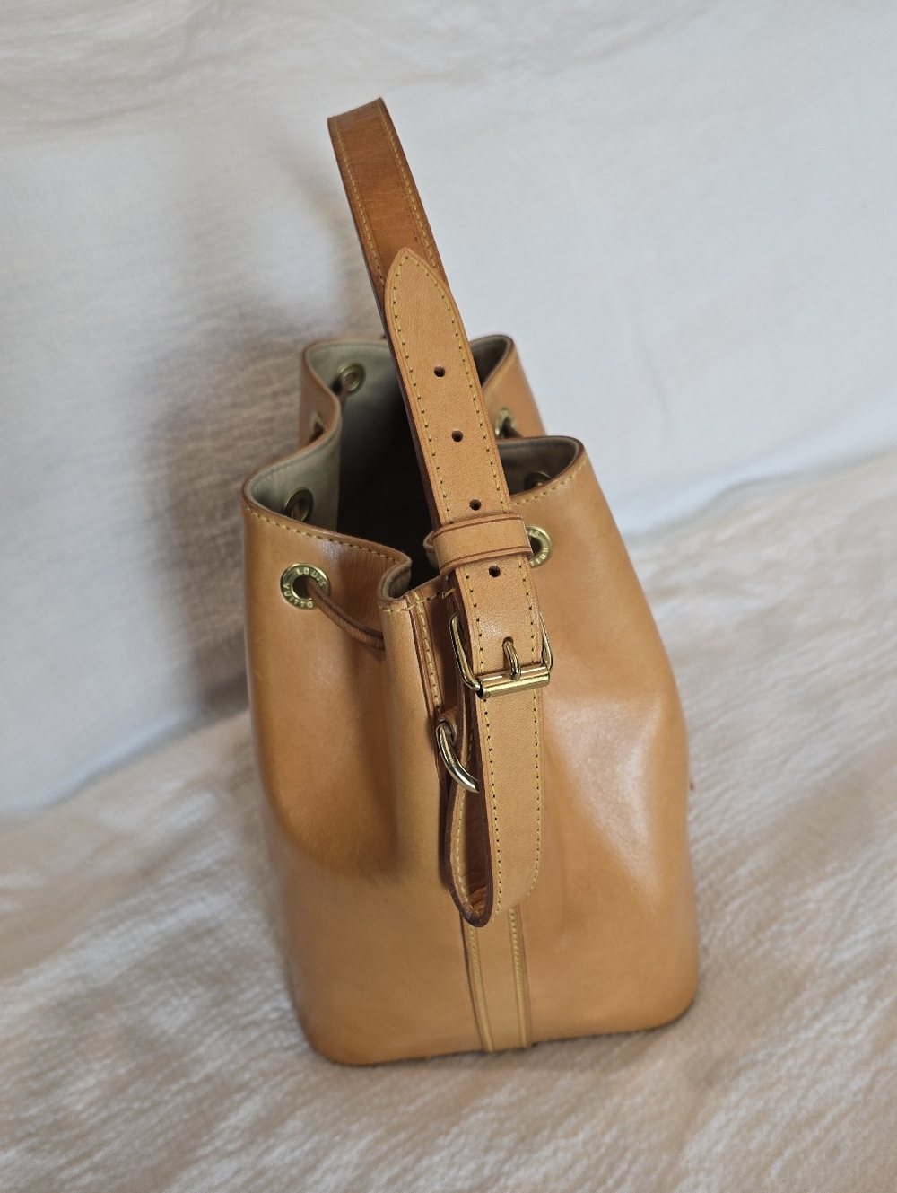 Louis - Picture 6 of 17